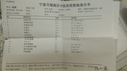 抽血檢驗(yàn)報(bào)告單匯總與肝癌血漿microRNA標(biāo)志物檢測(cè)報(bào)告系統(tǒng)